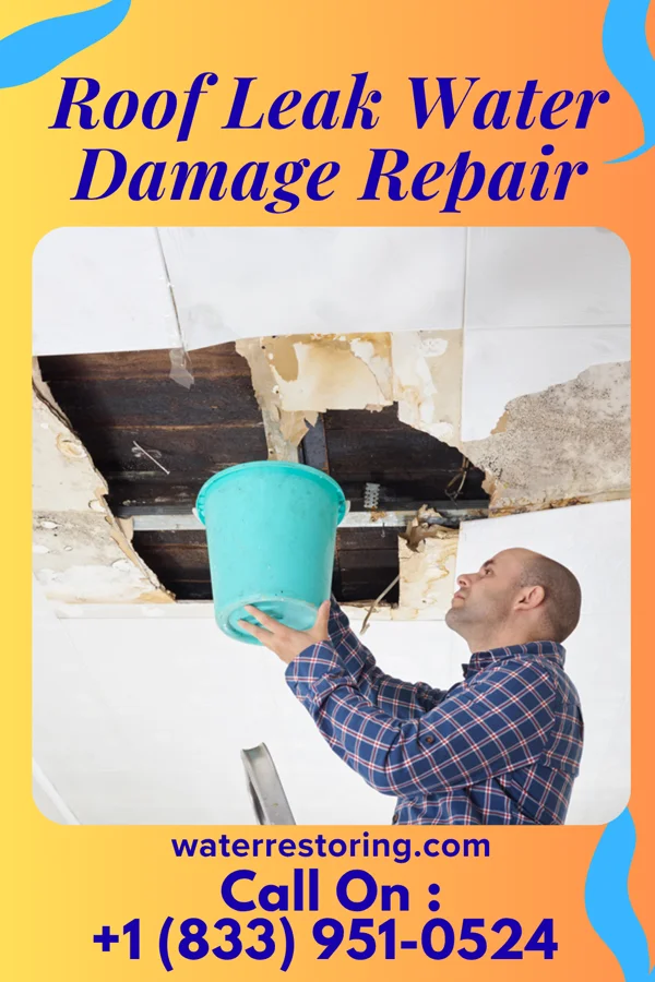 Roof Leak Water Damage Repair in Stafford, KS